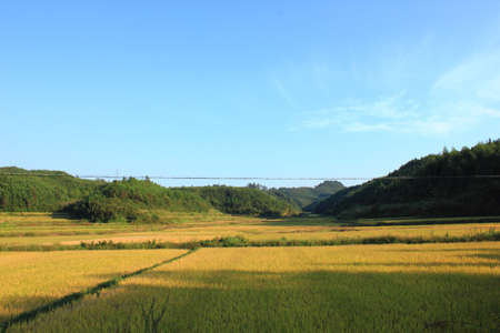 Autumn colorの写真素材