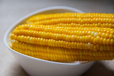 Waiting for cornの写真素材