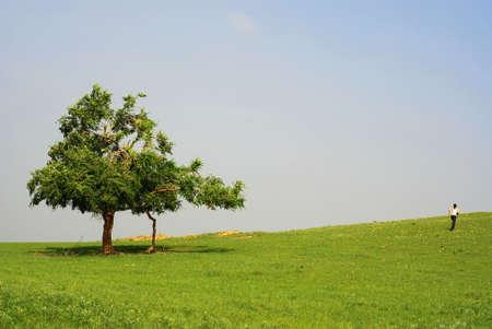 Grassland in Inner Mongolia Chinaの写真素材