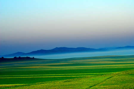 Beauty grassland sceneryの写真素材