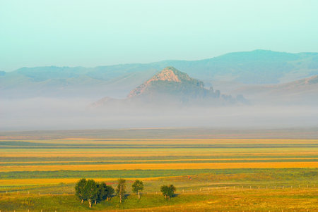 Beauty grassland scenery