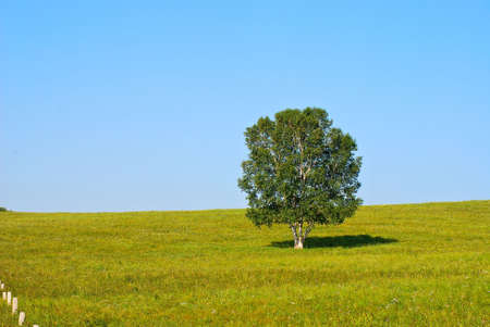 Beauty grassland sceneryの写真素材