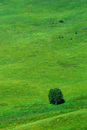 Beauty grassland sceneryの写真素材