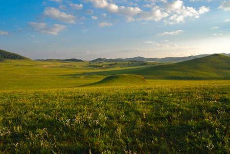 Bashang beautiful grassland in Chinaの写真素材