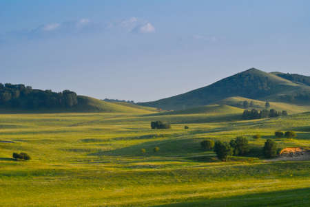 Bashang beautiful grassland in Chinaの写真素材