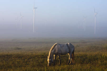 China Inner Mongolia Grasslandの写真素材
