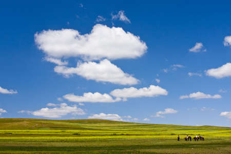 China Inner Mongolia Grasslandの写真素材