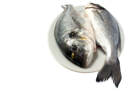 two raw shiny fresh dorada on the plateの写真素材