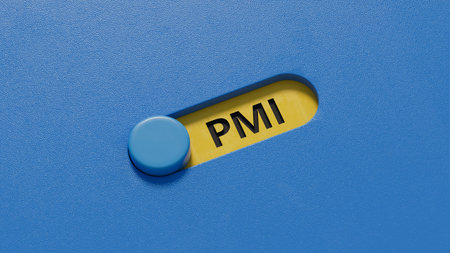 slide switch with the letters PMI . PMI - short for Project Management Institute.close up of slide...