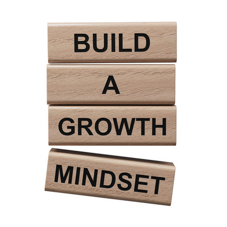 Build a growth mindset symbol. Concept words Build a growth mindset on wooden blocks.Business and...