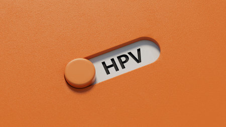 The word HPV is written on slide switch spelling. Medical concept. Close up of slide switch spelling. 3D rendering.の写真素材
