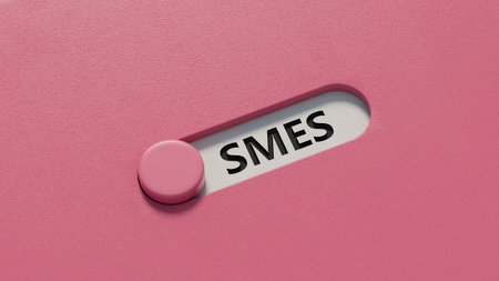 Small and medium-sized enterprises Word Written In slide switch spelling.close up of slide switch spelling,Business Concept.3D rendering.の写真素材