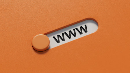 WWW website url of three words on slide switch spelling block, minimal background concept for internet connection, magnifier.Business Concept.3D rendering.の写真素材