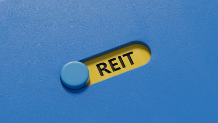 Word reit on slide switch with copy space.close up of slide switch,Business Concept.3D rendering on...