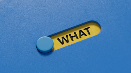 what? .the word spelled out using slide switch. Education concept.3D rendering on blue background.の写真素材