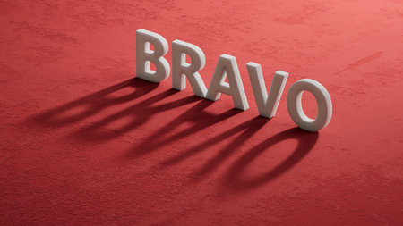 The word bravo appearing shadow of 3d charcaters. Education concept.close up of shadow of 3d charcaters,Business Concept.3D rendering on red background.の写真素材