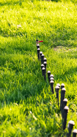 In the evening, the sunlight was slanting on the grass, a large piece of tender green dazzling and clear heart, a row of water pipes lined up ready to irrigate the land underfoot.の写真素材