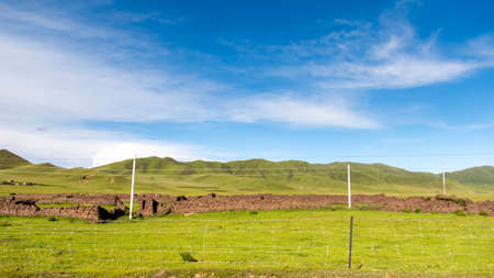 Grassland under the Cloudsの写真素材