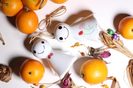 Kumquat and sunny dollの写真素材