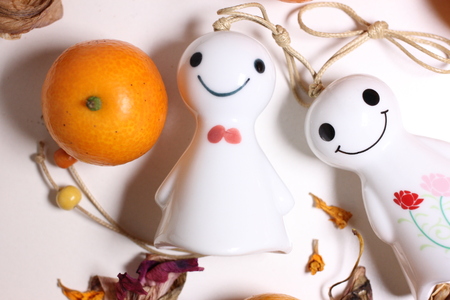 Kumquat and sunny dollの写真素材