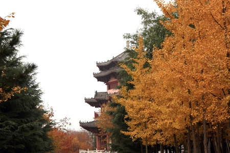 ancient tower at park.のeditorial素材