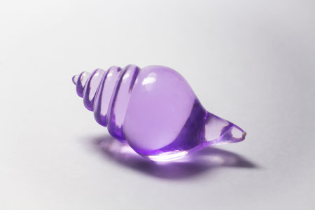 Bright shell on white background