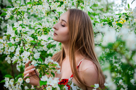 A girl with long blond hair sniffs the Apple tree flowers. A charming girl in a dress in an Apple...