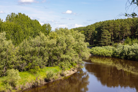 A small river flows around the forest, with the reflection of the trees in it against the blue sky....