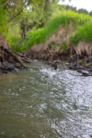 A shallow forest river with a wild view. Forest small river wild landscape. Wild river stream...