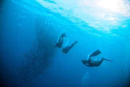 diver take a photo video upon coral bali indonesia scuba divingの写真素材