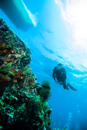 scuba diving diver woman sea underwater coral indonesia bali girlの写真素材