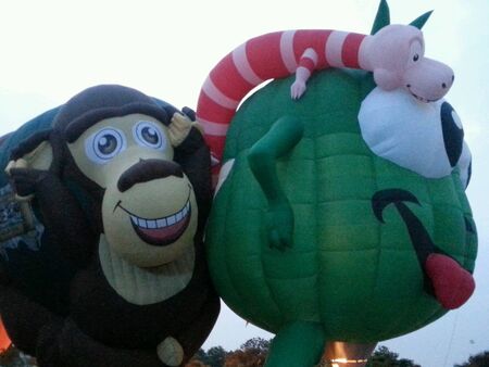 Hot air balloonの素材