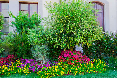 Small gardens created in the center of the cityのeditorial素材