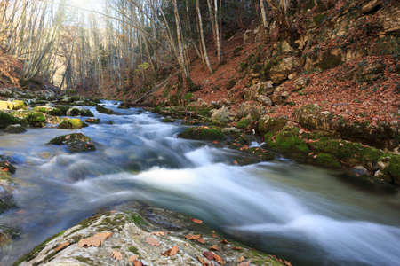 Beautiful rapid river flowing through autumn forestの写真素材