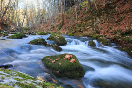 Beautiful rapid river with mossy stones flowing through autumn forestの写真素材