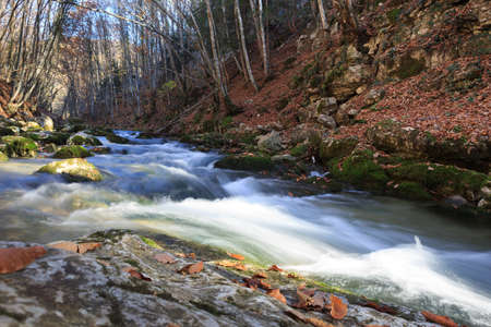 Beautiful rapid river with mossy stones flowing through autumn forestの写真素材