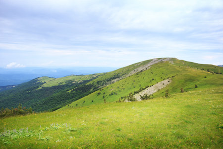 Beautiful scenic mountain landscape with green grass and forest on the hills under blue cloudy summer skyの写真素材