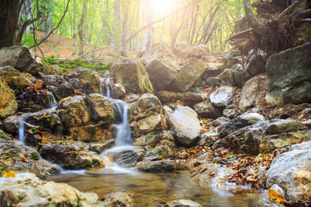 Mountain river in deep forest. Waterfall scenery.の写真素材