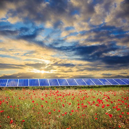 Solar panels under sunset summer sky on field of flowers