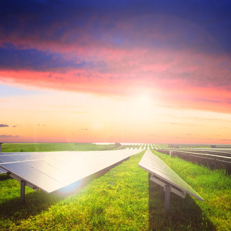 Solar panels on green field under sunset summer sky. Focus on foreground.