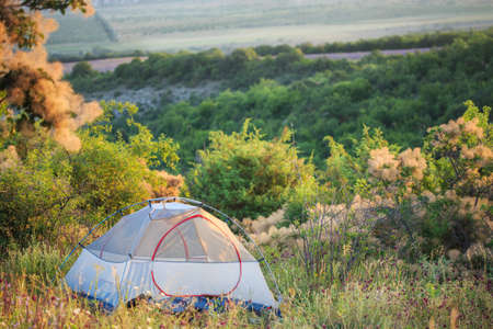 Beautiful light semitransparent travel tent stands on glade with high grass and wild flowers at the background of trees and shrubs.の写真素材