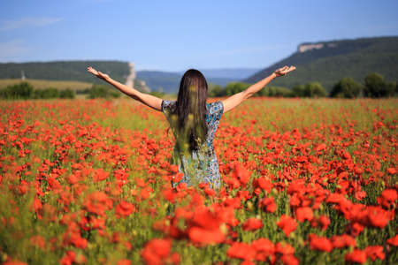 Beautiful woman with long brown hair in sundress with ethnic flower pattern stands with open arms on field of red poppies at the background of mountains and blue sky. Back view.の写真素材