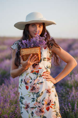 Young romantic woman in light floral patterned dress and hat stands on lavender field with bunch of flowers in wicker basket under sunset light.の写真素材