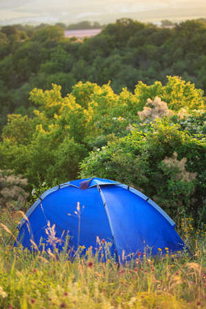 Bright blue travel tent stands on glade with high grass and wild flowers at the background of trees and shrubs.の写真素材