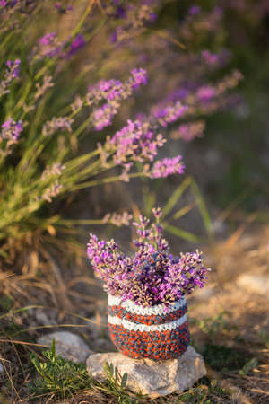 Small knitted basket with bunch of lavender twigs stands on blooming flower field under summer sunrise. Shallow dof. Focus on basket.の写真素材