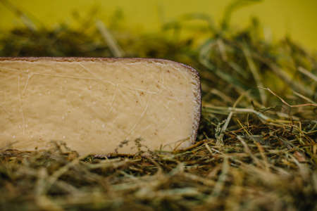 Traditional French cheese in hay for sale on Normandy marketFranceの写真素材