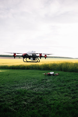 Agriculture drone fly to sprayed fertilizer on the sweet corn fields