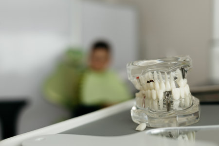 Close up tooth model / mock tooth in dental clinic. Mock tooth or tooth model is used by dentist to demonstrate how human teeth & jaw works. Dental care and dentist's equipment concept. copyspace.の写真素材
