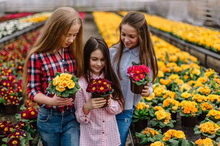 three little girls looking at flowerpot in flower center.の写真素材