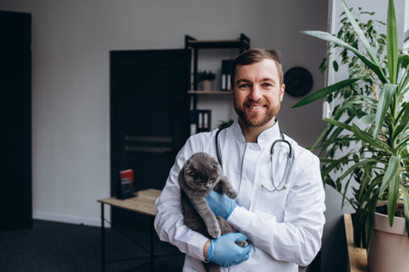 Beautiful cat at the veterinary clinic, a doctor is holding and cuddling it, pet care conceptの写真素材